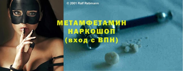 крисы Мегион