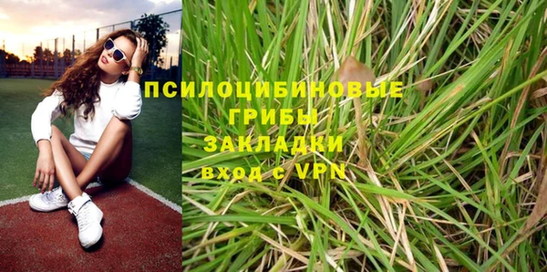 молекула духа Медногорск