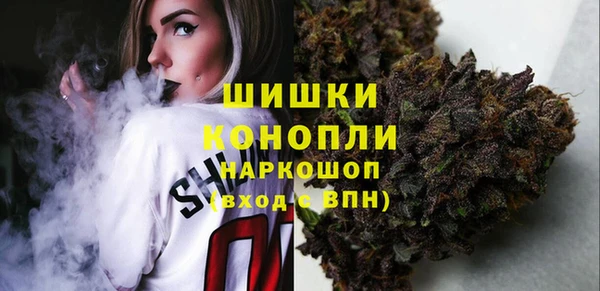 крисы Мегион